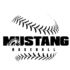 Mustang baseball 1