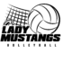 Mustang volleyball 2